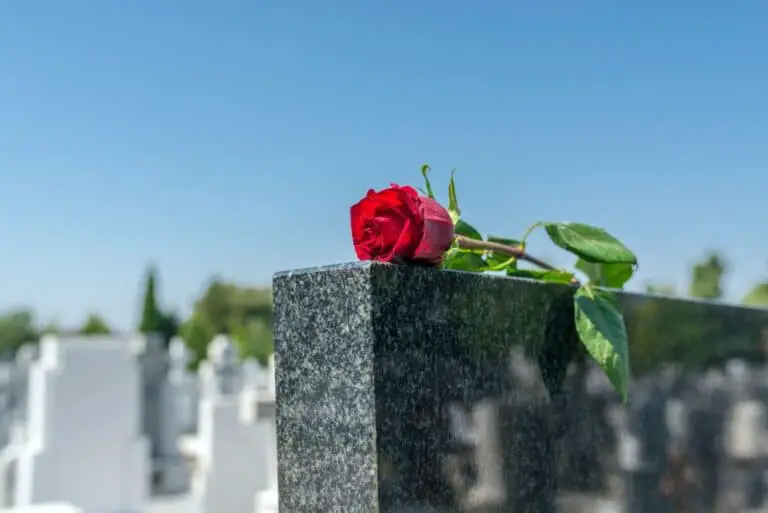 ¿Cuánto vale un entierro sin seguro?